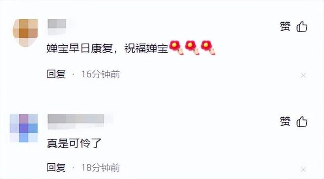 即全红婵传出不好消息夺冠路再蒙阴影开元ky棋牌全国跳水冠军赛开战在(图11)